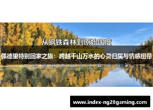 佩德里特别回家之旅：跨越千山万水的心灵归属与情感纽带