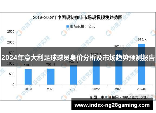 2024年意大利足球球员身价分析及市场趋势预测报告