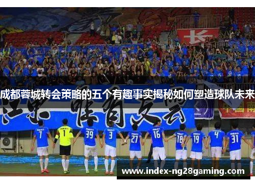 成都蓉城转会策略的五个有趣事实揭秘如何塑造球队未来