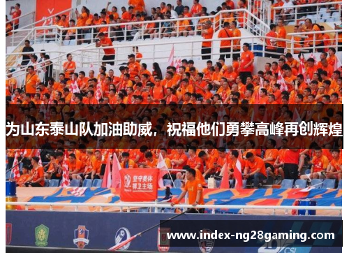 为山东泰山队加油助威，祝福他们勇攀高峰再创辉煌