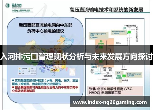 入河排污口管理现状分析与未来发展方向探讨