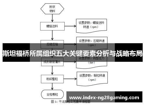 斯坦福桥所属组织五大关键要素分析与战略布局