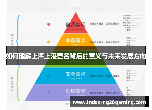 如何理解上海上港更名背后的意义与未来发展方向