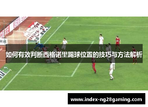 如何有效判断西格诺里踢球位置的技巧与方法解析 如何有效判断西格诺里踢球位置的技巧与方法解析