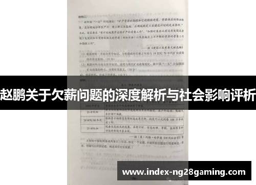 赵鹏关于欠薪问题的深度解析与社会影响评析