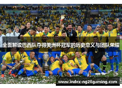 全面解读巴西队夺得美洲杯冠军的历史意义与团队荣耀