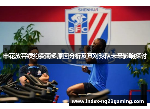 申花放弃续约费南多原因分析及其对球队未来影响探讨